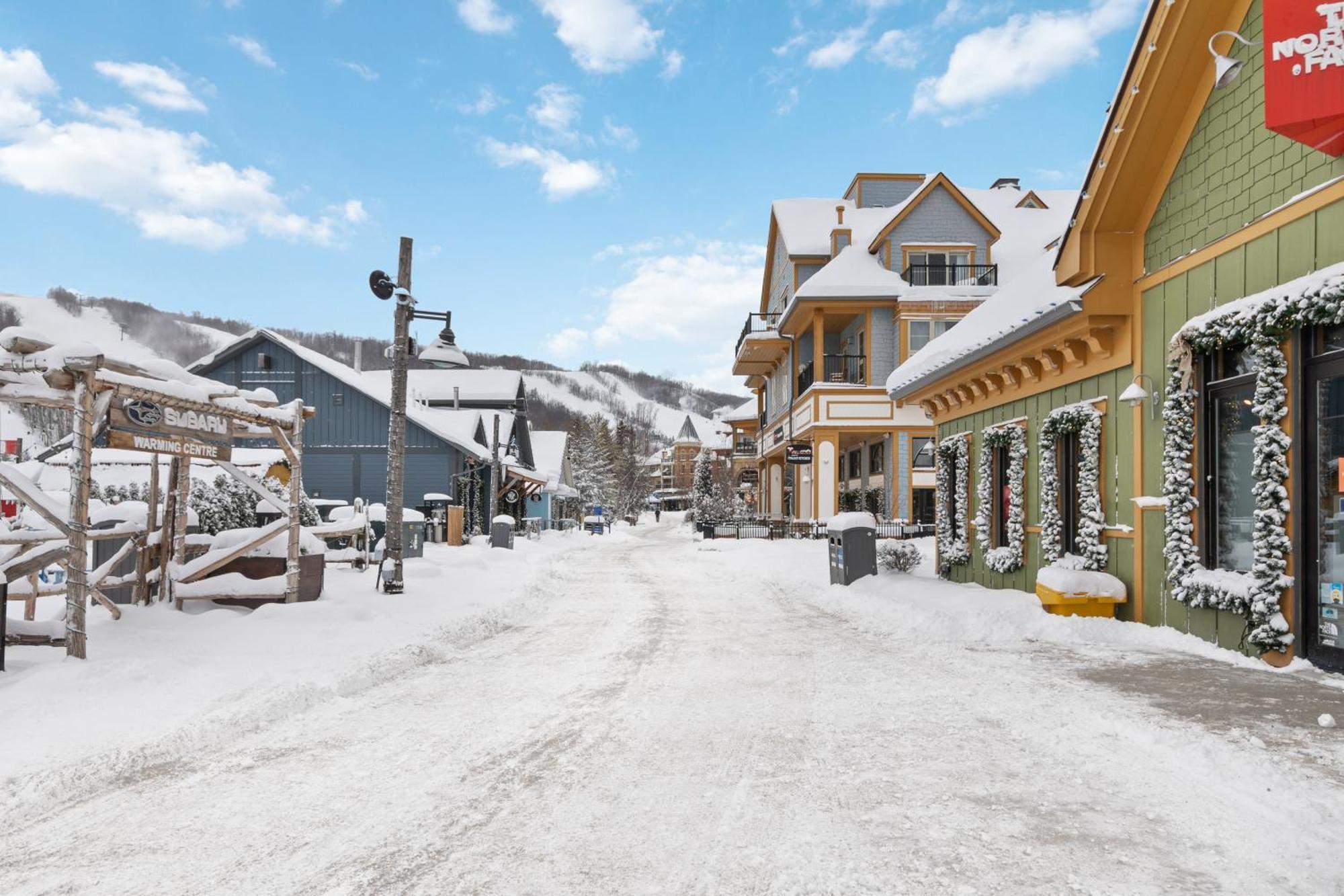 Blue Mountain 3 Bedroom Dream Chalet 81590 コリングウッド エクステリア 写真