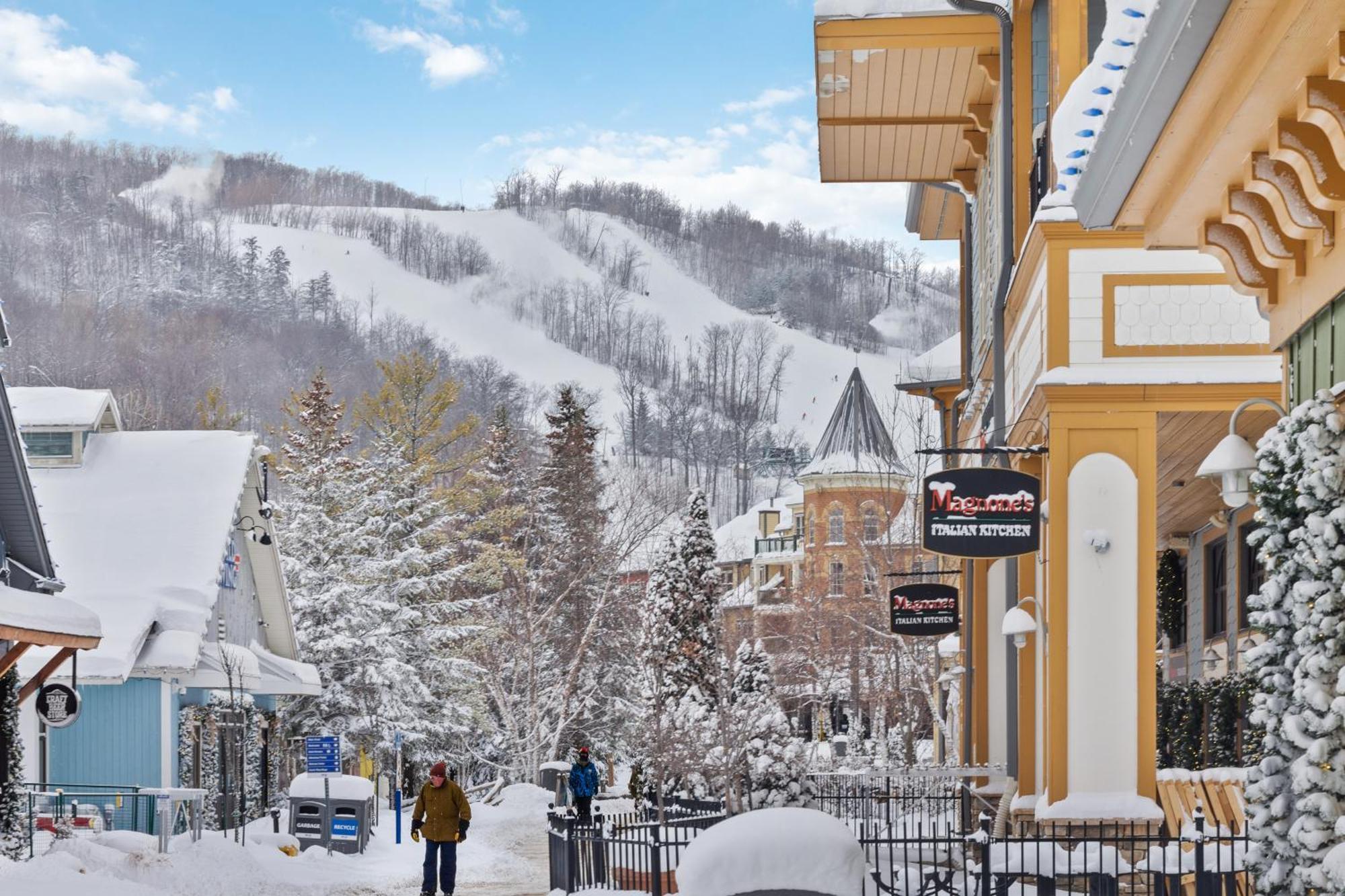Blue Mountain 3 Bedroom Dream Chalet 81590 コリングウッド エクステリア 写真